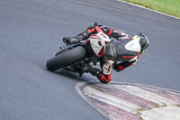 Advanced Group White Bikes